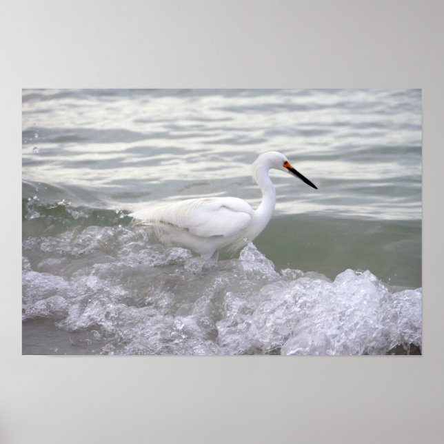 Snowy Egret in the Surf Poster (Front)