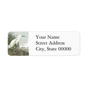 Snowy Egret, John Audubon Return Address Label