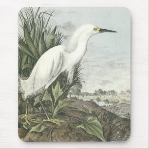 Snowy Egret Mouse Pad