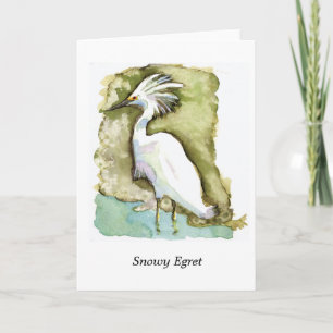 Snowy Egret note card