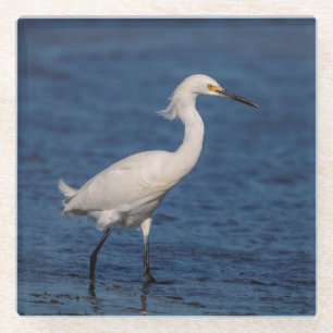 Snowy Egret on North Beach Glass Coaster