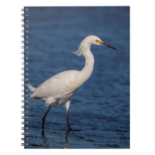 Snowy Egret on North Beach Notebook