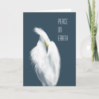 Snowy Egret "Peace on Earth"