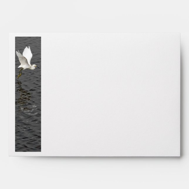 Snowy Egret Takeoff Envelopes (Front)