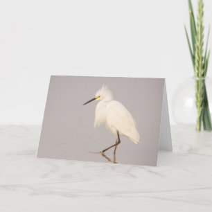Snowy Egret Walking Greeting Card