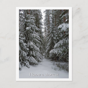 Snowy Evergreen Forest Custom Postcard