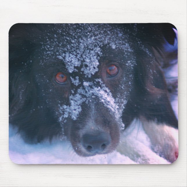Snowy Faced Border Collie Dog Cute  Mouse Pad (Front)