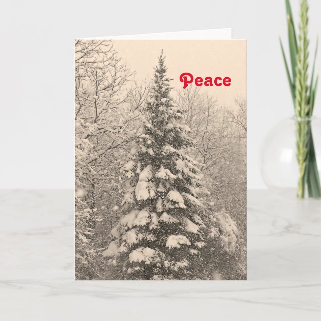 Snowy Farm Scene Blank Christmas Card Holiday Card (Front)