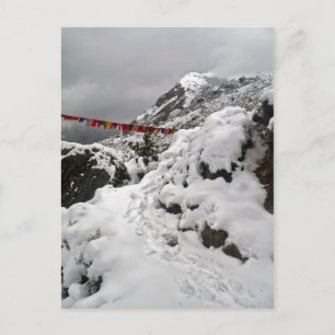 Snowy Footprints on Himalayan Mountain Path Postcard
