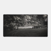 Snowy Forest at Night