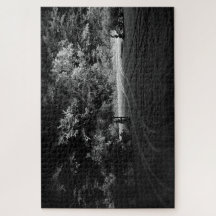 Snowy Forest at Night