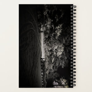 Snowy Forest at Night Notebook