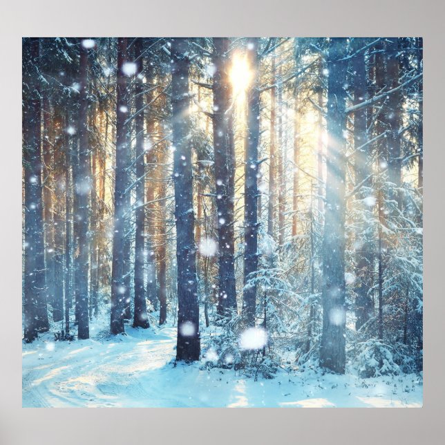 Snowy Forest Frosty Winter Scene Poster (Front)