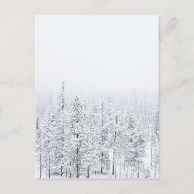 Snowy forest postcard (Front)