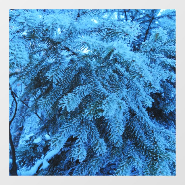 Snowy Forest Spruce  (Sheet)