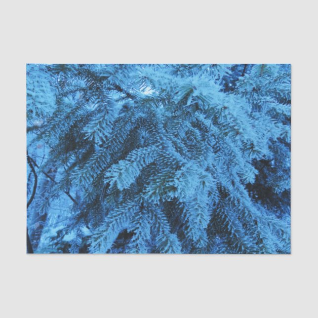 Snowy Forest Spruce  Tissue Paper (Front)
