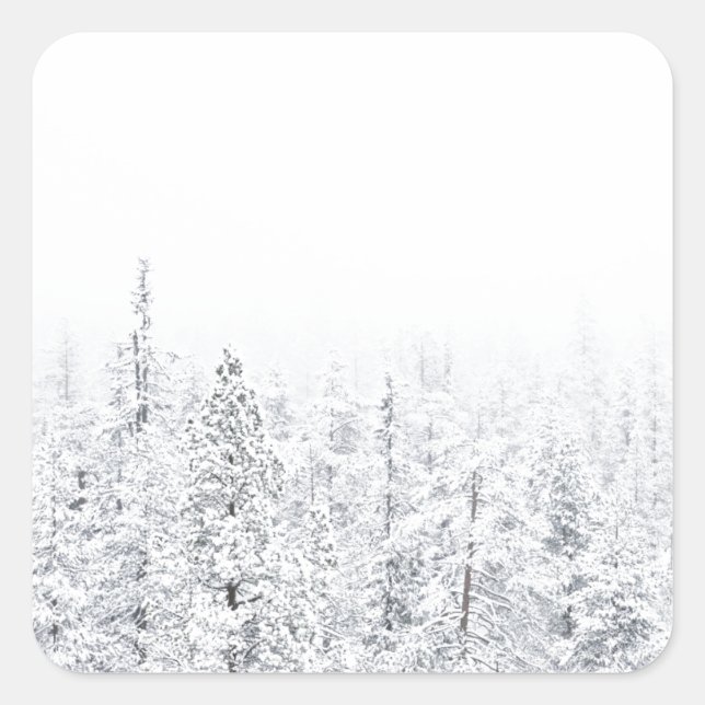 Snowy forest square sticker (Front)