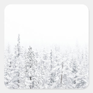 Snowy forest square sticker