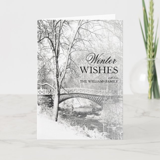 Snowy Garfield Park in Black and White Holiday Card (Front)