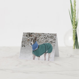 Snowy Girl: Greyhound Christmas Card