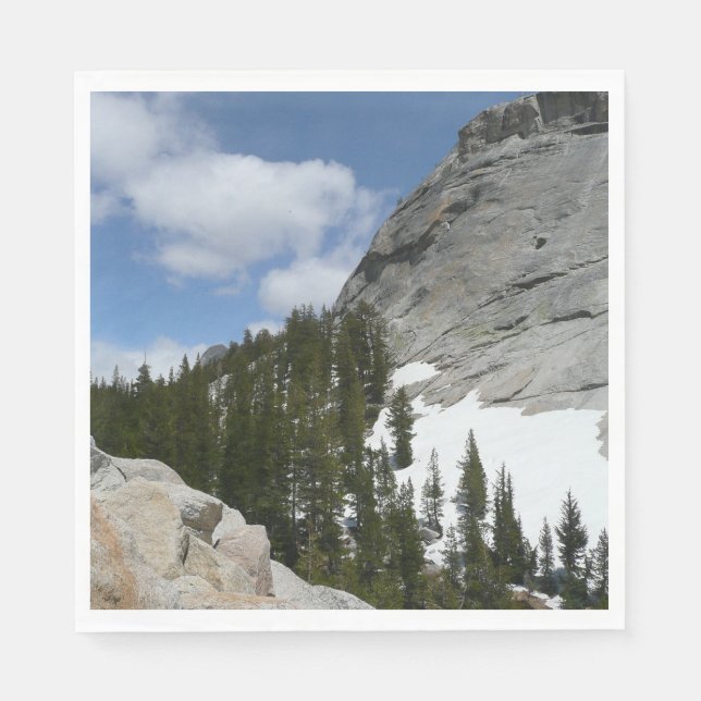 Snowy Granite Domes II Yosemite National Park Napkin (Front)