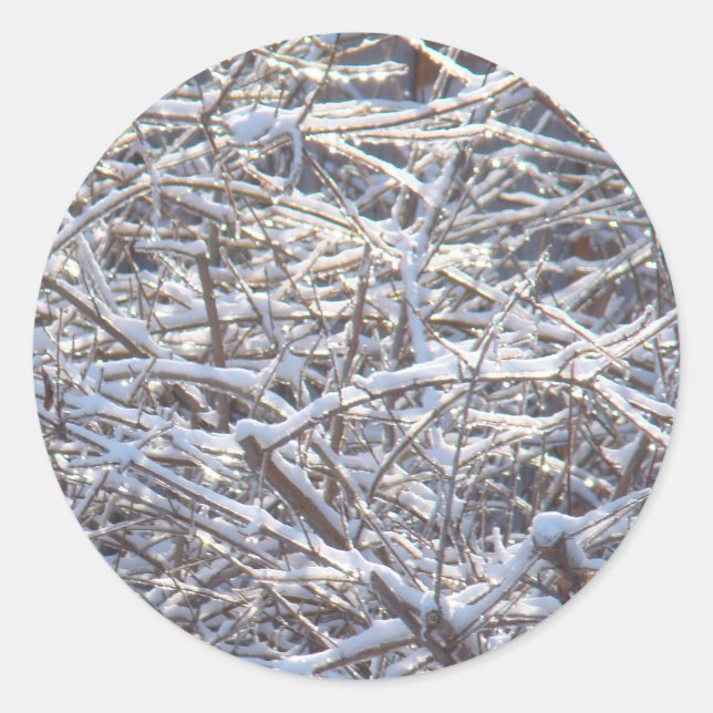 Snowy Ice Branches in Winter Classic Round Sticker (Front)