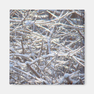 Snowy Ice Branches in Winter Magnet