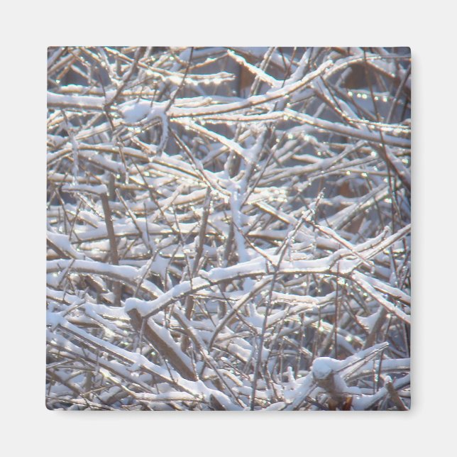 Snowy Ice Branches in Winter Magnet (Front)