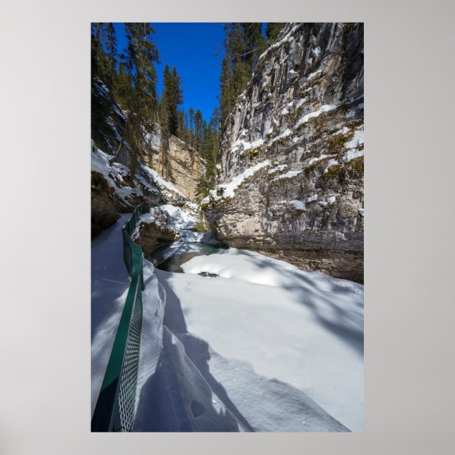 Snowy Johnston Creek (Alberta) Poster (Front)