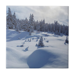 Snowy Landscape Ceramic Tile