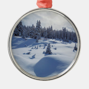 Snowy Landscape Metal Ornament