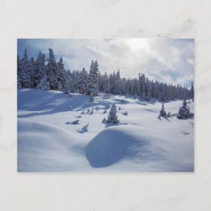 Snowy Landscape Postcard
