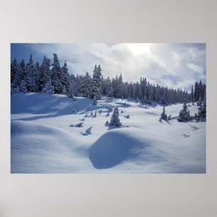 Snowy Landscape Poster