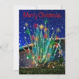 Snowy Majestic Agave on flat holiday card