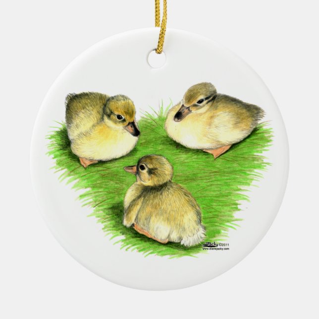 Snowy Mallard Ducklings Ceramic Ornament (Front)