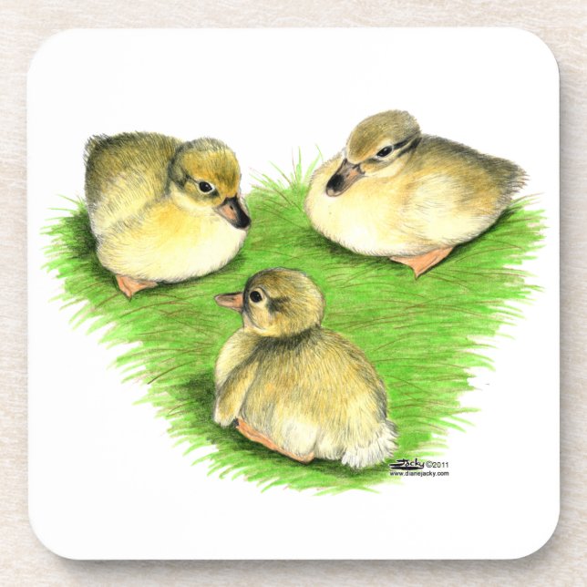 Snowy Mallard Ducklings Coaster (Front)