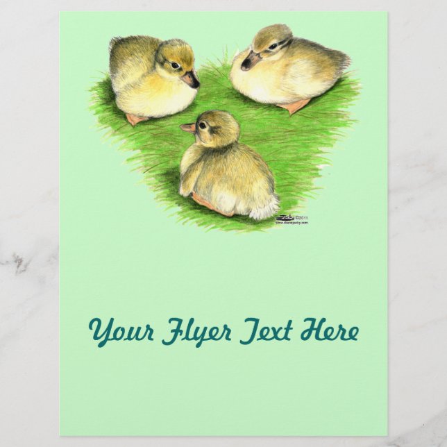 Snowy Mallard Ducklings Flyer (Front)