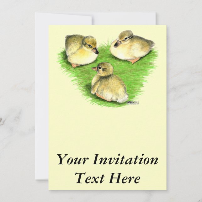 Snowy Mallard Ducklings Invitation (Front)