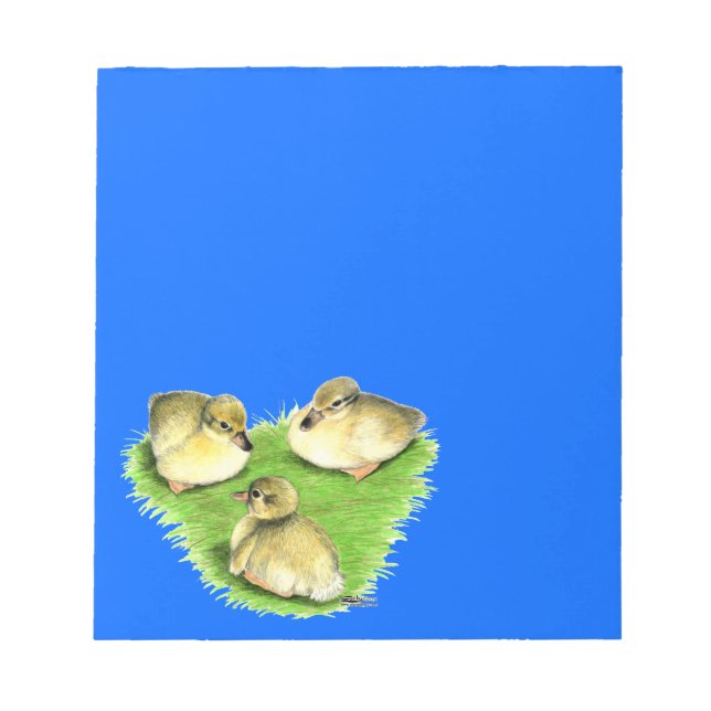 Snowy Mallard Ducklings Notepad (Front)
