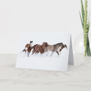 Snowy March II Horse Greeting Card