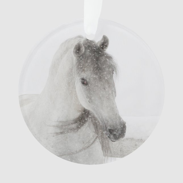 Snowy Mare Horse Ornament (Front)