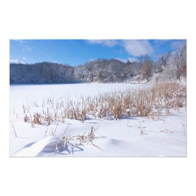 Snowy Marthaler Pond Winter Scenic Photo Print (Front)