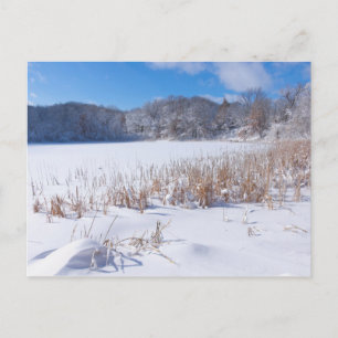 Snowy Marthaler Pond Winter Scenic Postcard