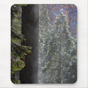 Snowy Mist in the Forest Mouse Pad