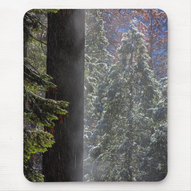 Snowy Mist in the Forest Mouse Pad (Front)