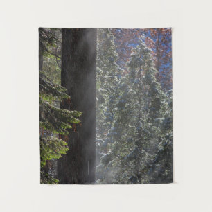 Snowy Mist in the Forest Tapestry
