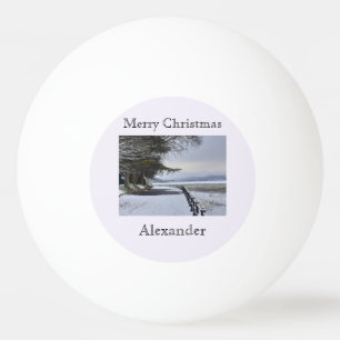 Snowy Morning Ping Pong Ball