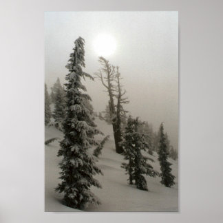 Snowy mountain and trees poster