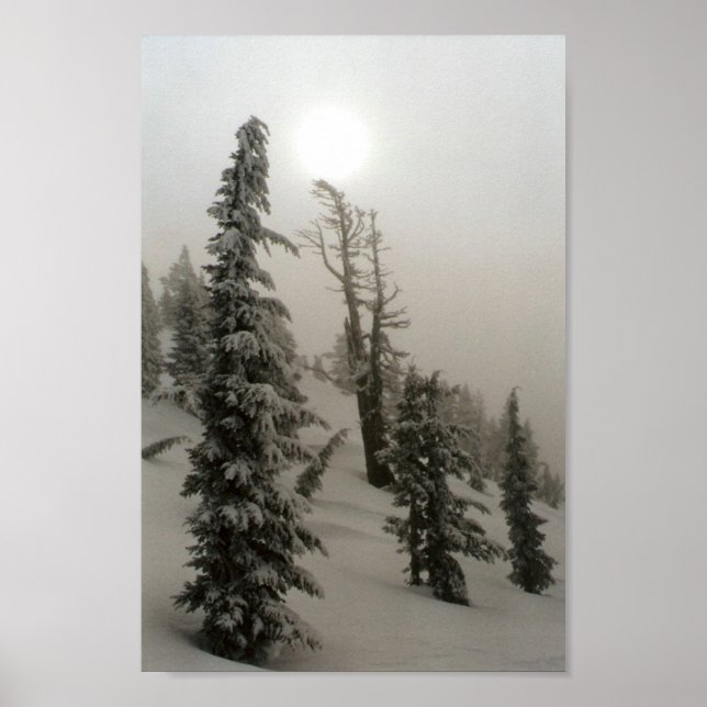 Snowy mountain and trees poster (Front)
