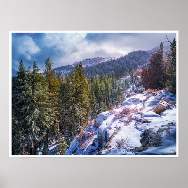 Snowy Mountain Forest Wall Art Alpine Winter Print (Front)